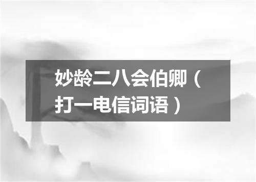 妙龄二八会伯卿（打一电信词语）