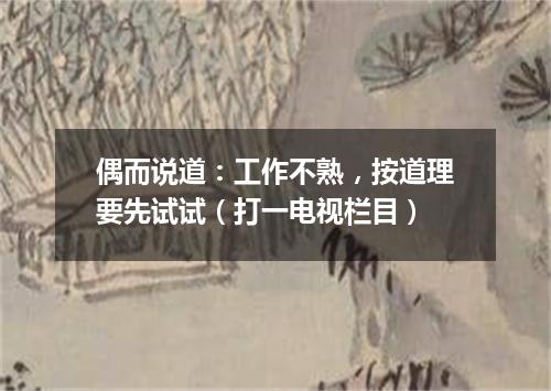 偶而说道：工作不熟，按道理要先试试（打一电视栏目）