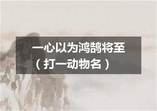 一心以为鸿鹄将至（打一动物名）