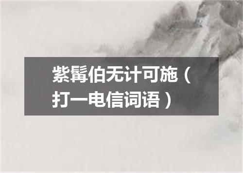 紫髯伯无计可施（打一电信词语）