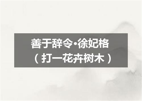 善于辞令·徐妃格（打一花卉树木）