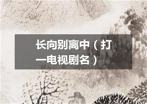 长向别离中（打一电视剧名）