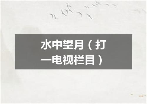 水中望月（打一电视栏目）