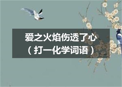 爱之火焰伤透了心（打一化学词语）