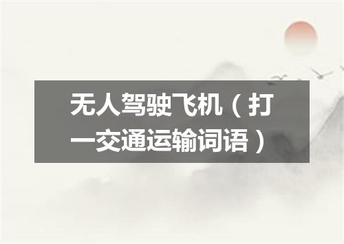 无人驾驶飞机（打一交通运输词语）