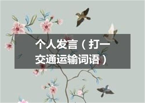 个人发言（打一交通运输词语）