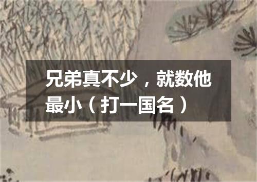 兄弟真不少，就数他最小（打一国名）