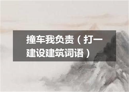 撞车我负责（打一建设建筑词语）