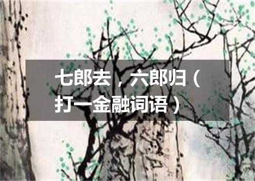 七郎去，六郎归（打一金融词语）