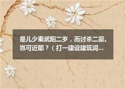 是儿少秦武阳二岁，而讨杀二豪。岂可近耶？（打一建设建筑词语）