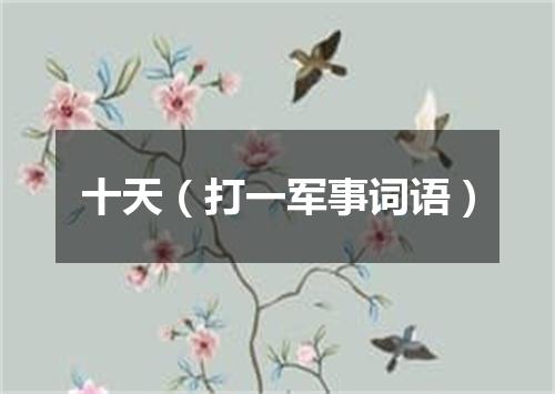 十天（打一军事词语）