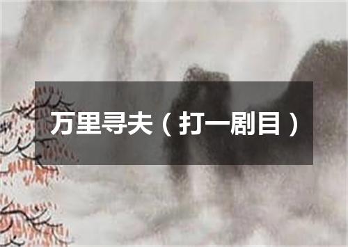 万里寻夫（打一剧目）