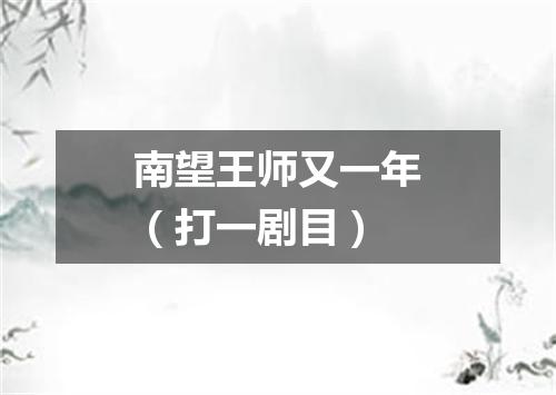 南望王师又一年（打一剧目）