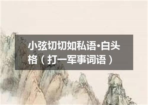 小弦切切如私语·白头格（打一军事词语）