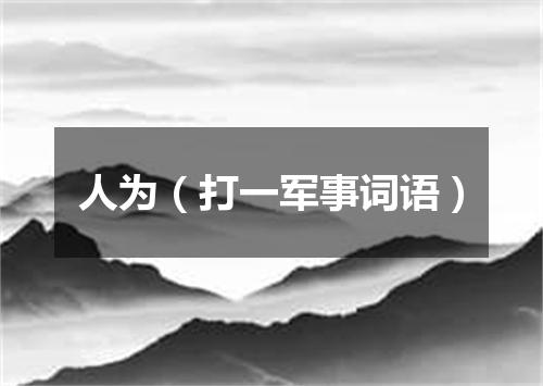 人为（打一军事词语）