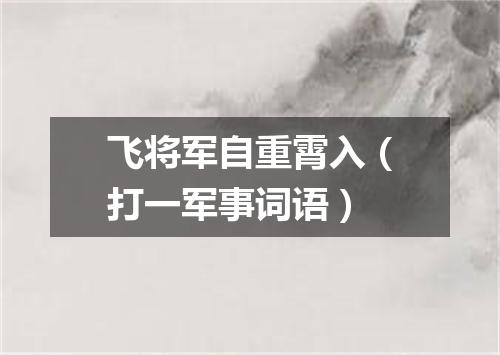 飞将军自重霄入（打一军事词语）