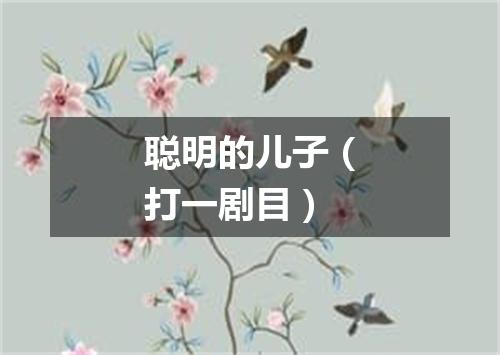 聪明的儿子（打一剧目）