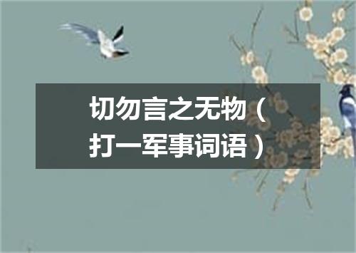切勿言之无物（打一军事词语）