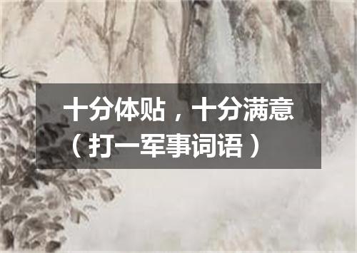 十分体贴，十分满意（打一军事词语）