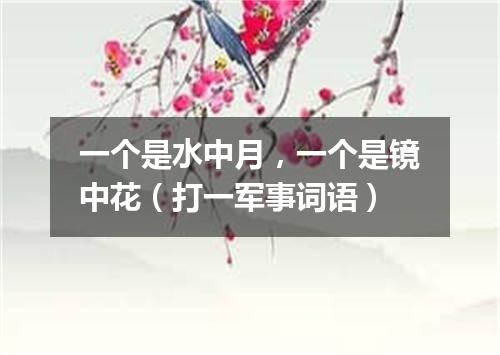 一个是水中月，一个是镜中花（打一军事词语）