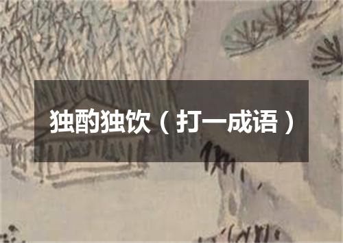 独酌独饮（打一成语）