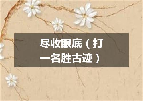 尽收眼底（打一名胜古迹）