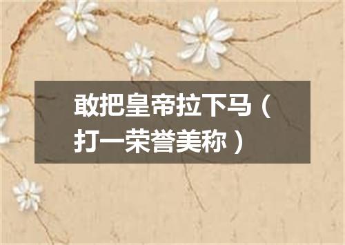 敢把皇帝拉下马（打一荣誉美称）