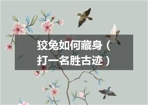 狡兔如何藏身（打一名胜古迹）