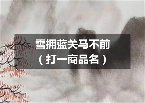 雪拥蓝关马不前（打一商品名）