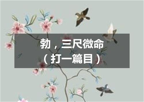 勃，三尺微命（打一篇目）