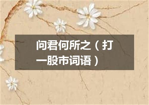 问君何所之（打一股市词语）