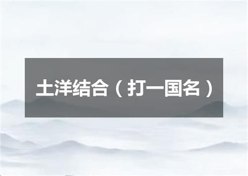 土洋结合（打一国名）
