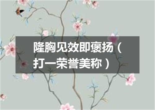 隆胸见效即褒扬（打一荣誉美称）