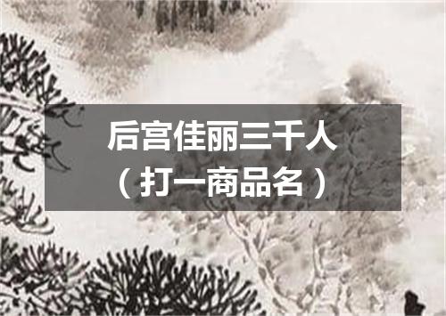 后宫佳丽三千人（打一商品名）