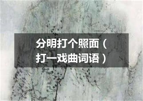 分明打个照面（打一戏曲词语）