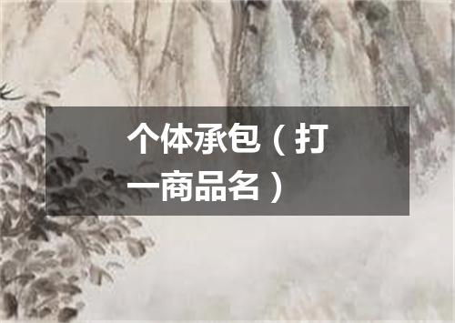 个体承包（打一商品名）