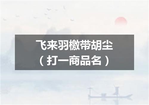 飞来羽檄带胡尘（打一商品名）
