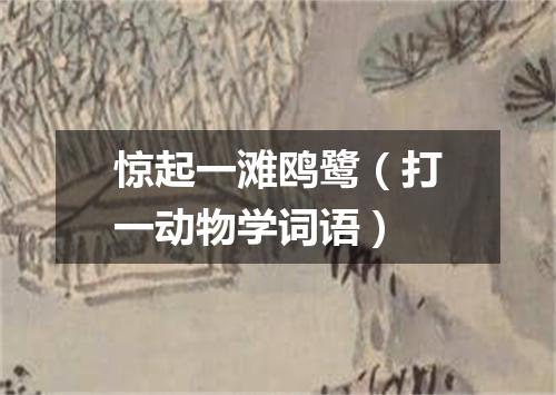 惊起一滩鸥鹭（打一动物学词语）