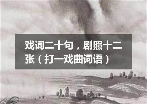 戏词二十句，剧照十二张（打一戏曲词语）