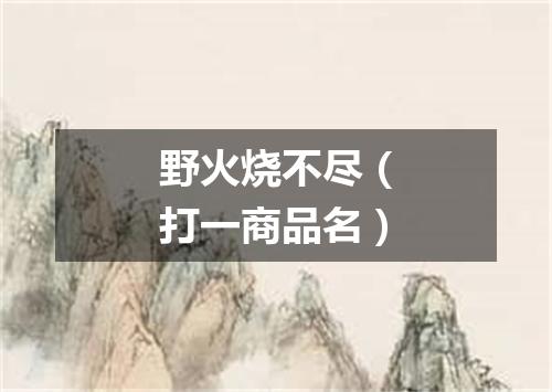 野火烧不尽（打一商品名）