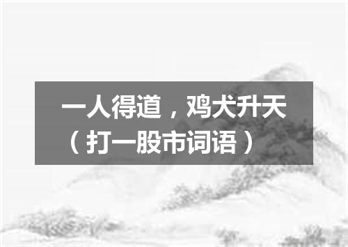 一人得道，鸡犬升天（打一股市词语）