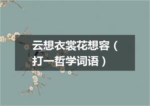 云想衣裳花想容（打一哲学词语）