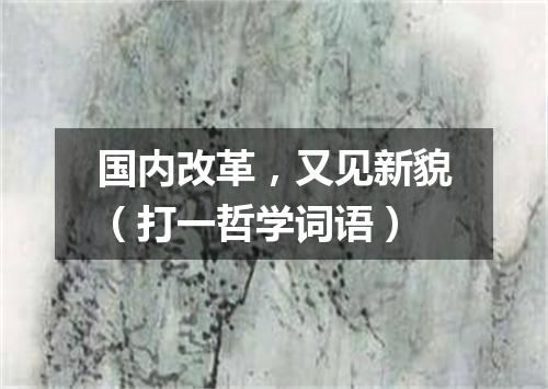 国内改革，又见新貌（打一哲学词语）