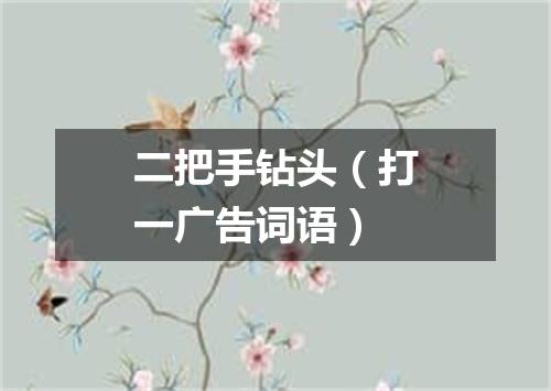 二把手钻头（打一广告词语）