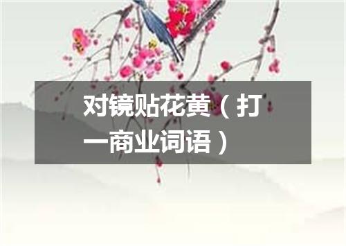 对镜贴花黄（打一商业词语）