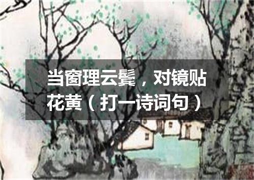 当窗理云鬓，对镜贴花黄（打一诗词句）