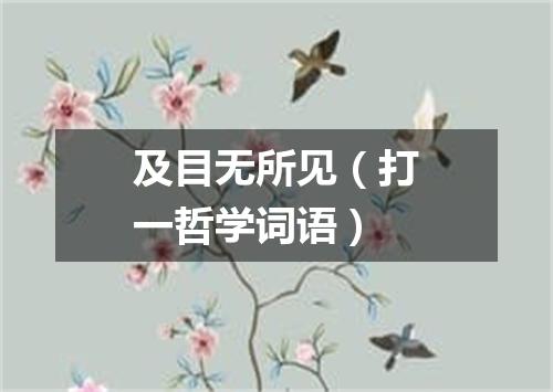 及目无所见（打一哲学词语）