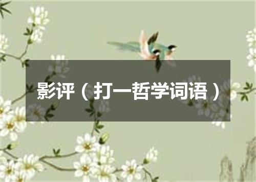 影评（打一哲学词语）