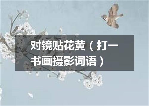 对镜贴花黄（打一书画摄影词语）