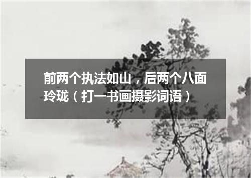 前两个执法如山，后两个八面玲珑（打一书画摄影词语）